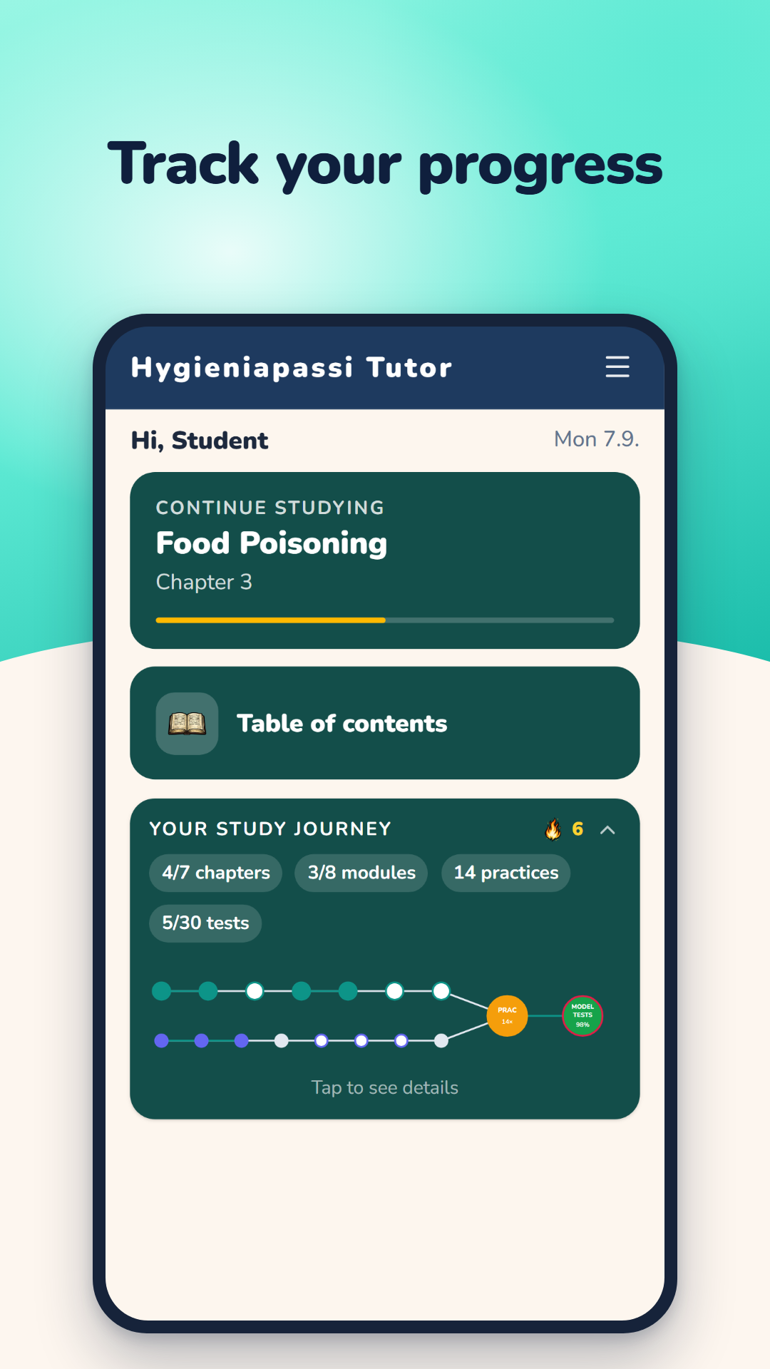 Home screen: continue studying, table of contents and the study journey with chapters, modules, practices and model tests.